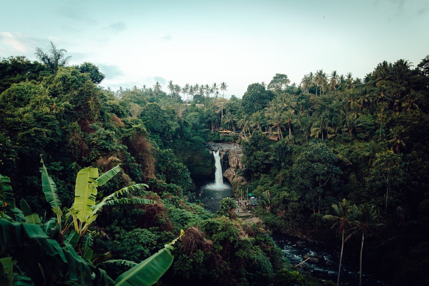 A waterfall in the middle of a rainforest