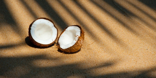 Coconut in the sand, in the shade of a palm tree