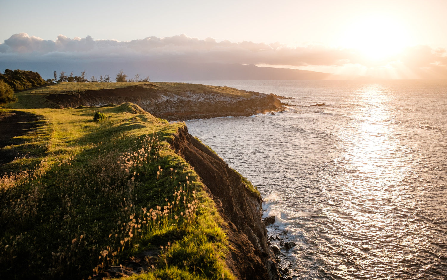 ocean coast line that symbolizes our green policy