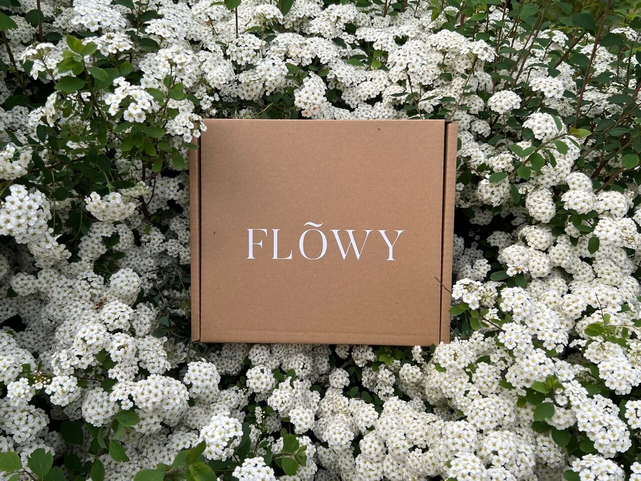 FLÕWY packaging box 