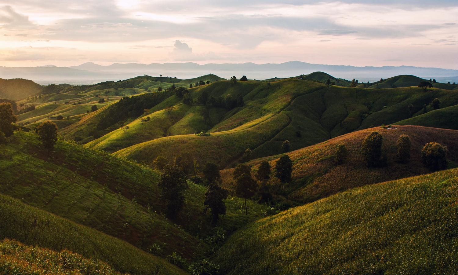 Green hills that symbolize FLÕWY's green policy