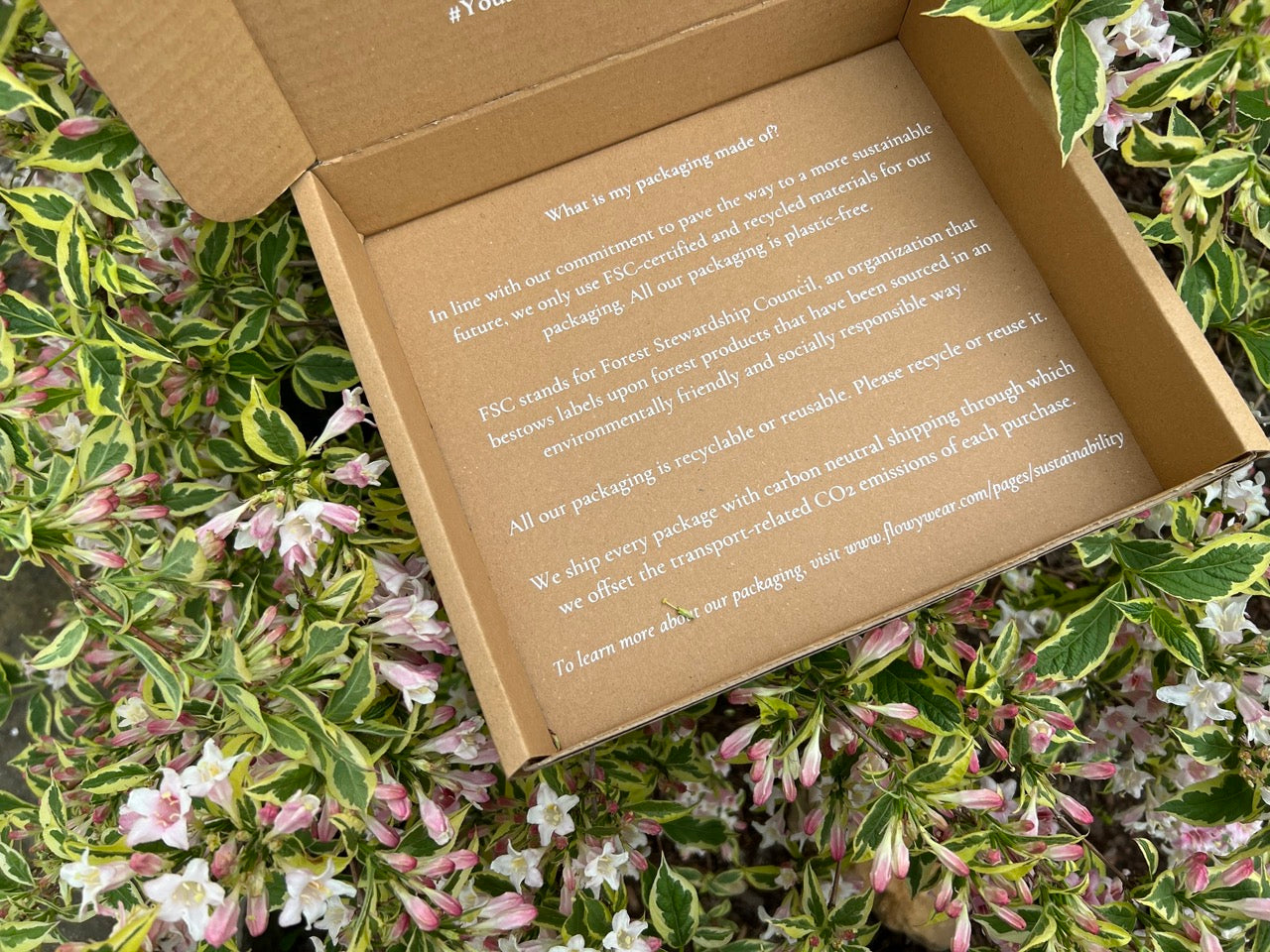 Close up of the messages written inside of the FLÕWY packaging box