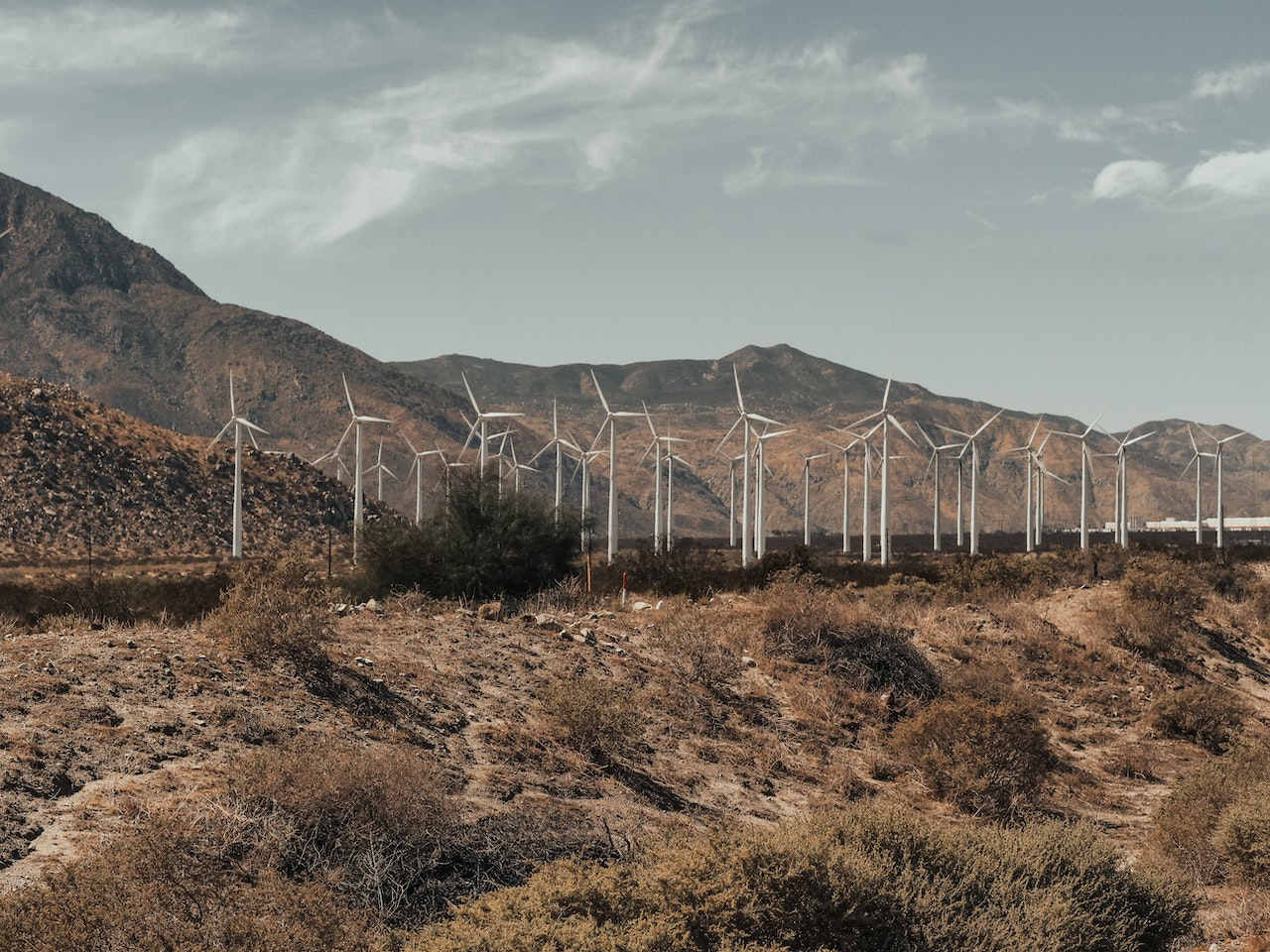 wind turbines generating wind energy, which shows FLÕWY's vision for a sustainable future